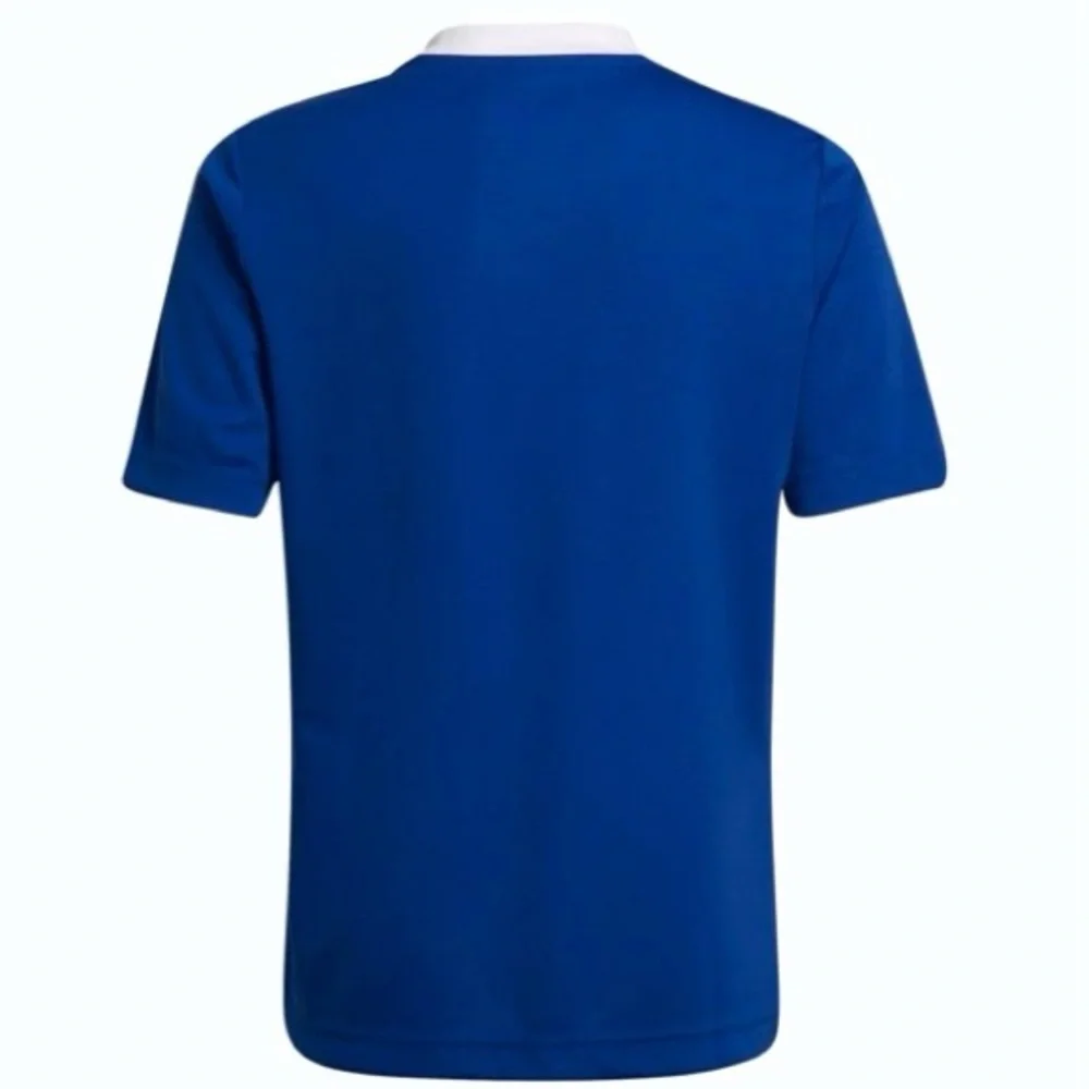 ADIDAS Entrada 22 Jersey Team Royal Blue Youth Boys Girls UNISEX Medium